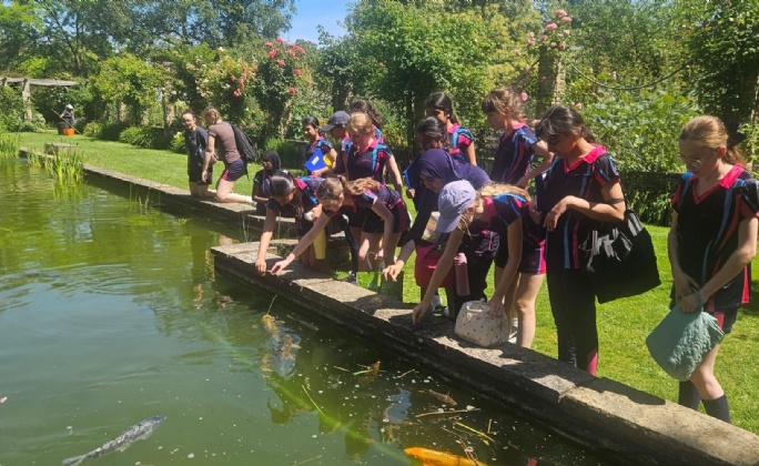 Latest News » Year 7 Discover Ecosystems at the Botanical Gardens